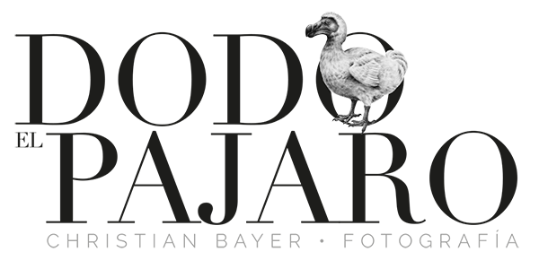Dodo El Pajaro